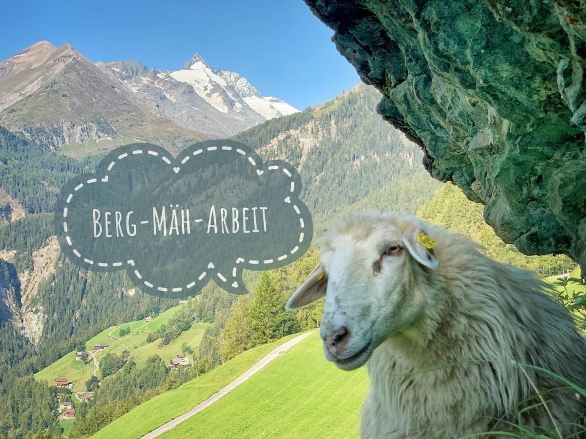 Ferienhof Oberer Gollmitzer Heiligenblut Bagian luar foto